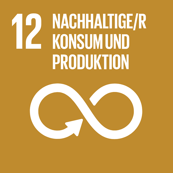 Nachhaltige Konsum- und Produktionsweisen 