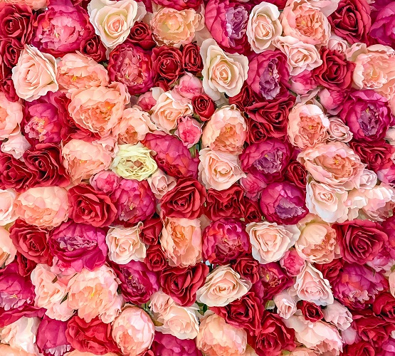 Sag es durch die Blume